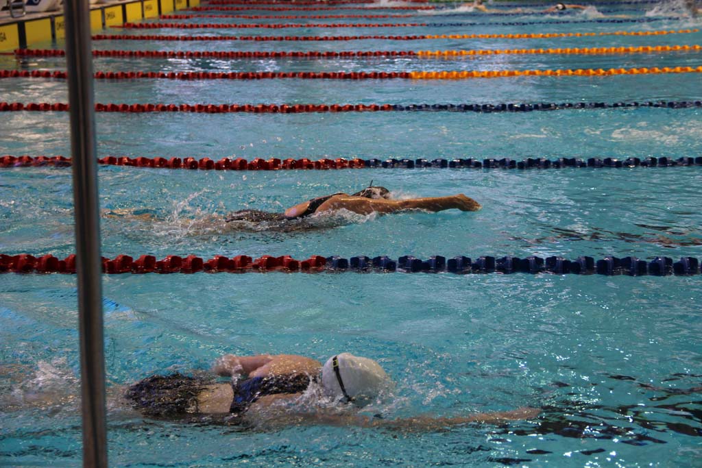 Israel Masters Swimming אליפות_מאסטרס_חורף20152015022802282015674 - Israel  Masters Swimming