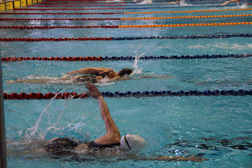 Israel Masters Swimming אליפות_מאסטרס_חורף20152015022802282015675 